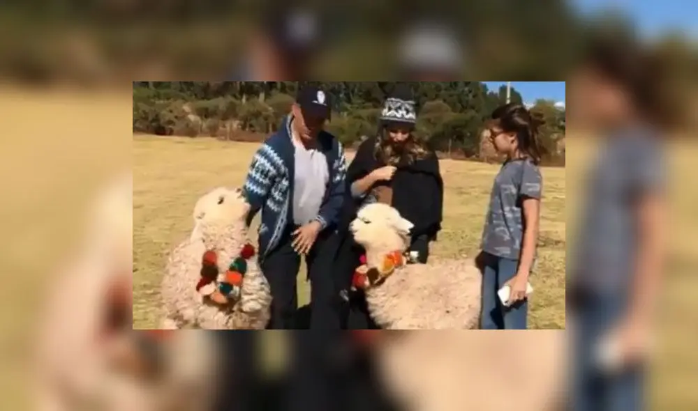 Sergio Mayer recibió escupitajo de alpaca en Cusco
