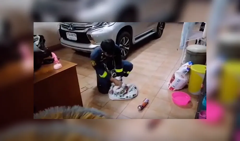 Escucha ruidos extraños en vehículo, lo revisa y descubre ‘misteriosa’ criatura