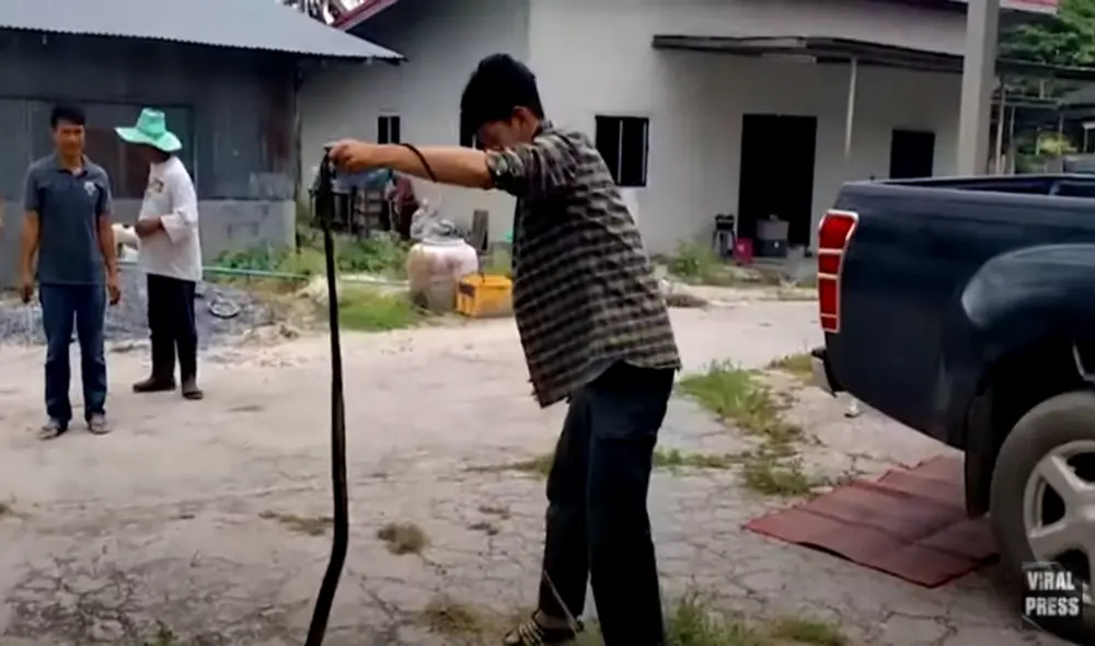 Desliza hacia la izquierda para ver las imágenes del viral de YouTube. Foto: Viral Press.