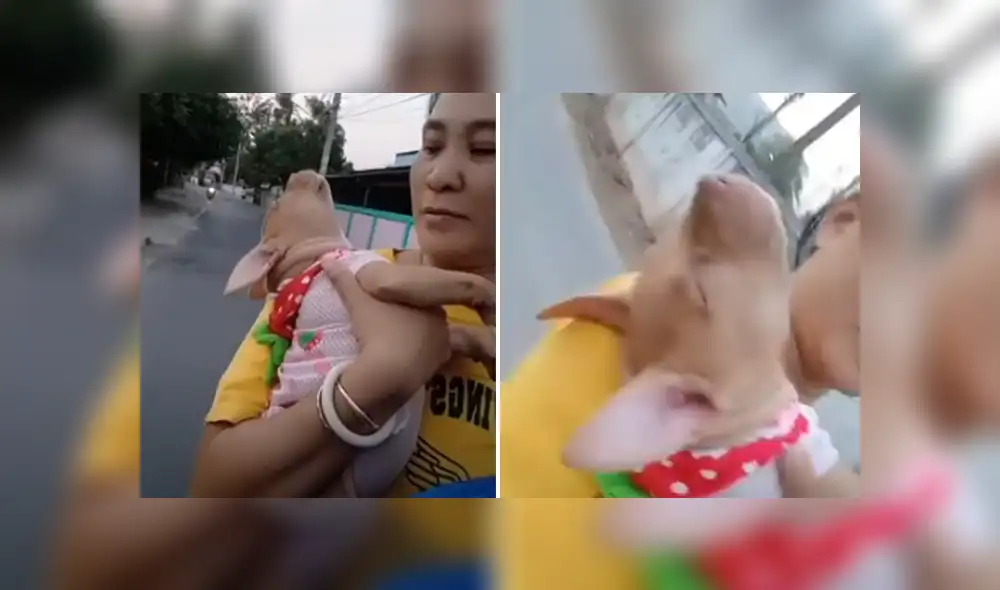 Desliza hacia la izquierda para ver las imágenes del viral de Facebook. Desliza hacia la izquierda para ver las imágenes del viral de Facebook.