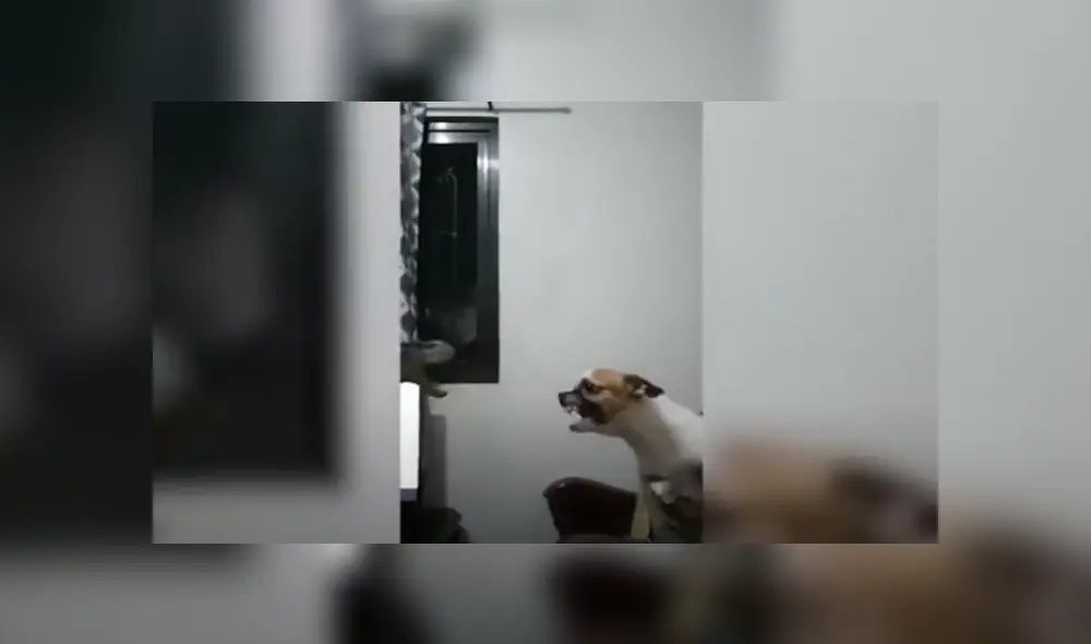 Desliza hacia la izquierda para ver las imágenes del viral de YouTube. Foto: Captura.