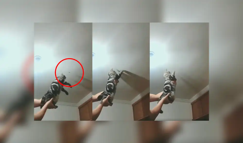 Desliza a la izquierda para conocer más sobre este nuevo viral de Facebook. Foto: Captura.