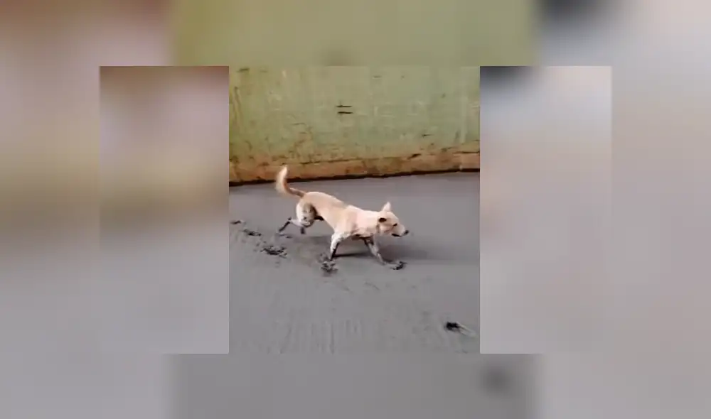 Desliza para ver los momentos más divertidos del video que se hizo viral en Facebook. Desliza para ver los momentos más divertidos del video que se hizo viral en Facebook.