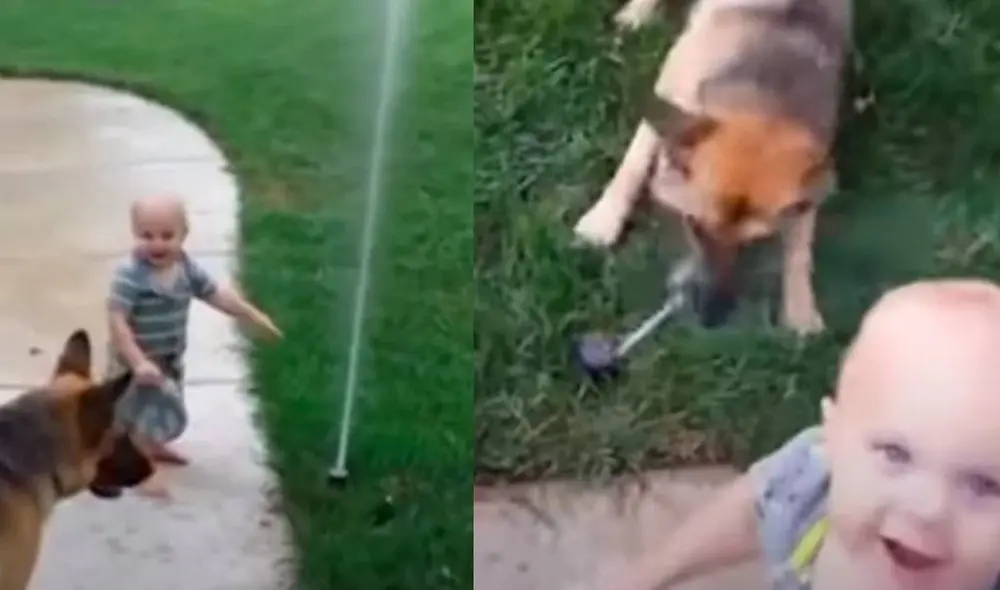 Desliza para ver las mejores imágenes del video viral de Facebook. Foto: Captura/Amanpreet Singh