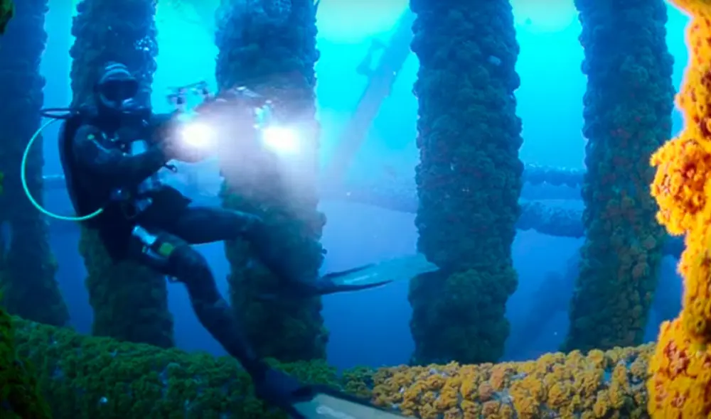 “El último hielo” del Ártico: la lucha de un pueblo indígena para sobrevivir al cambio climático