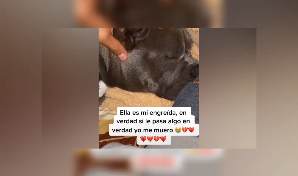 Desliza hacia la izquierda para ver las imágenes del viral de Facebook. Foto: Captura. Desliza hacia la izquierda para ver las imágenes del viral de Facebook. Foto: Captura.