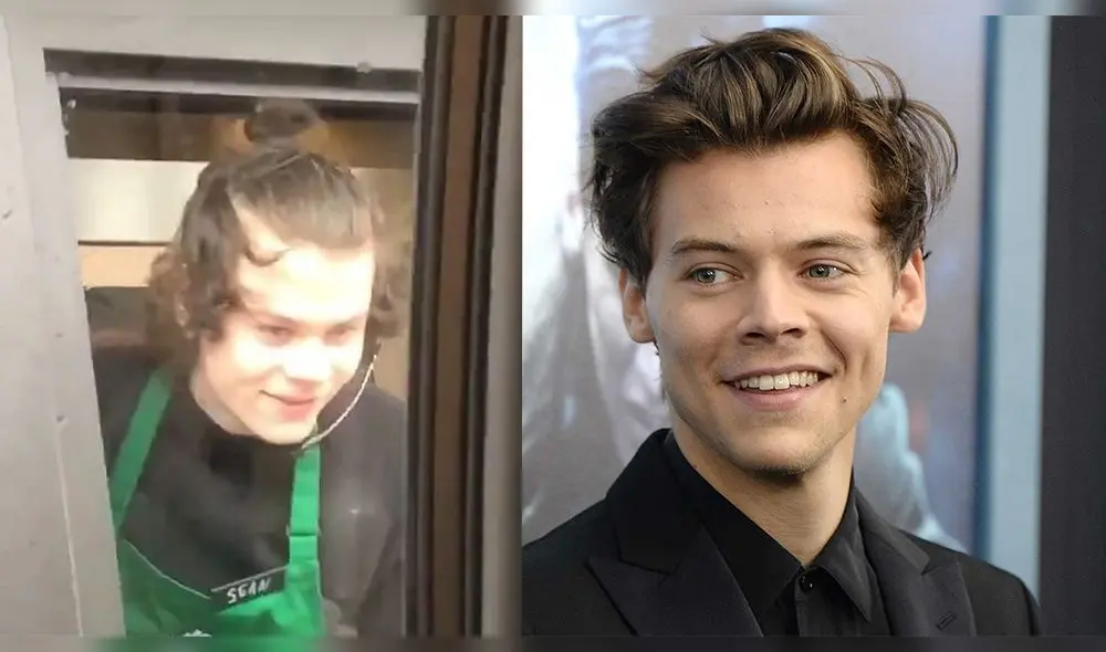 Doble de Harry Styles y el artista