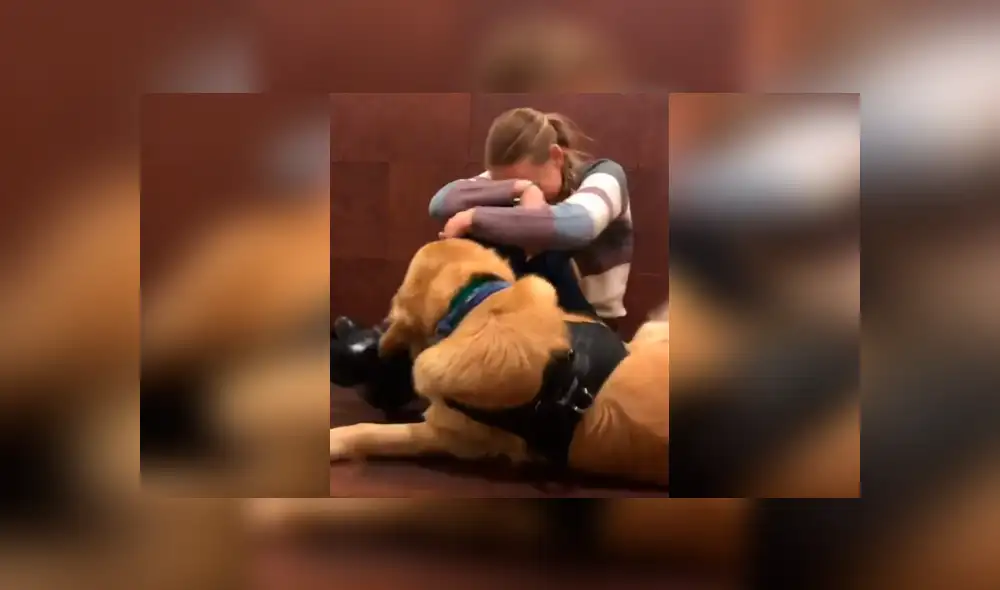 Desliza las imágenes hacia la izquierda para conocer la cariñosa acción que tuvo un perro para consolar a su dueña. Foto: Clarín.