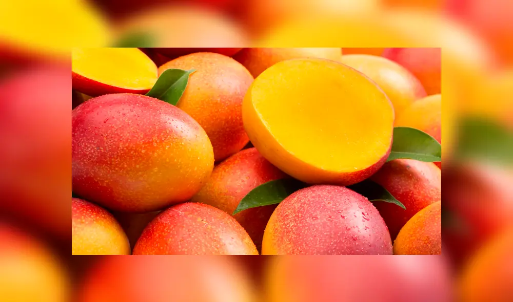 Productores peruanos buscan mantener exportación de mango a Europa Productores peruanos buscan mantener exportación de mango a Europa