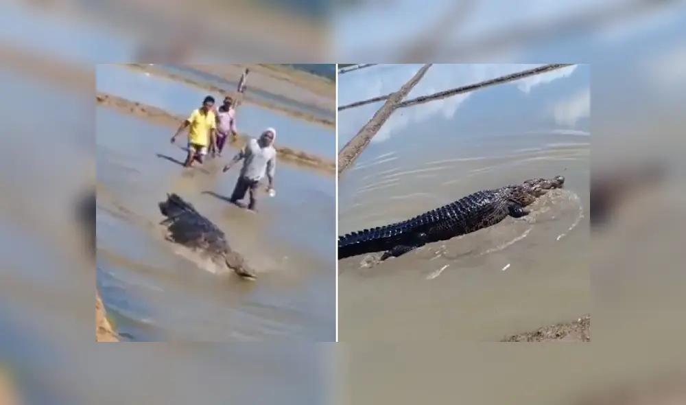 Desliza hacia la izquierda para ver las imágenes del viral de Facebook. Foto: Captura. Desliza hacia la izquierda para ver las imágenes del viral de Facebook. Foto: Captura.