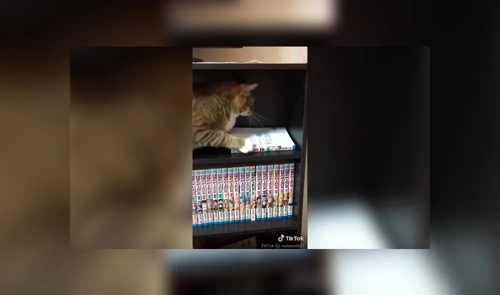 Desliza a la izquierda para ver el nuevo viral de Facebook que ha hecho reír a miles de usuarios. Foto: Captura.