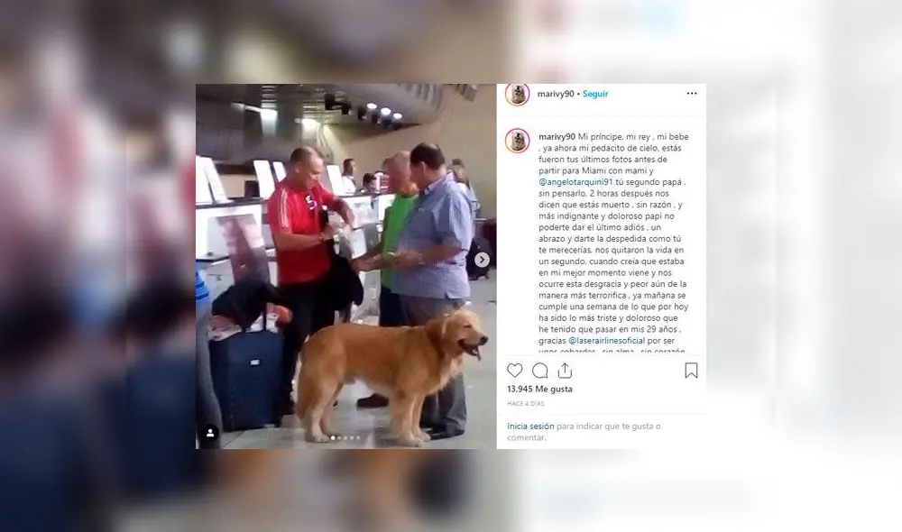 ‘Hachi’, el golden retriever que murió en un vuelo y aerolínea no permitió que familiares lo vieran [VIDEO]