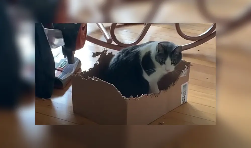 Desliza hacia la izquierda para ver las imágenes del viral de Facebook. Desliza hacia la izquierda para ver las imágenes del viral de Facebook.