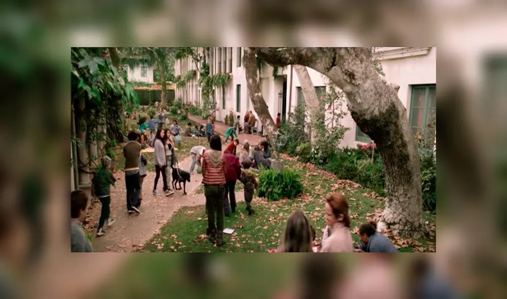 Bird Box: las 7 diferencias entre la cinta de Netflix y el libro original [VIDEO]