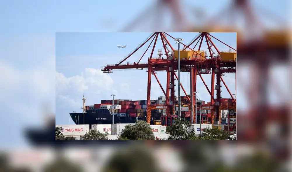 Adex advierte que algunos sectores podrían perjudicarse por TLC con India