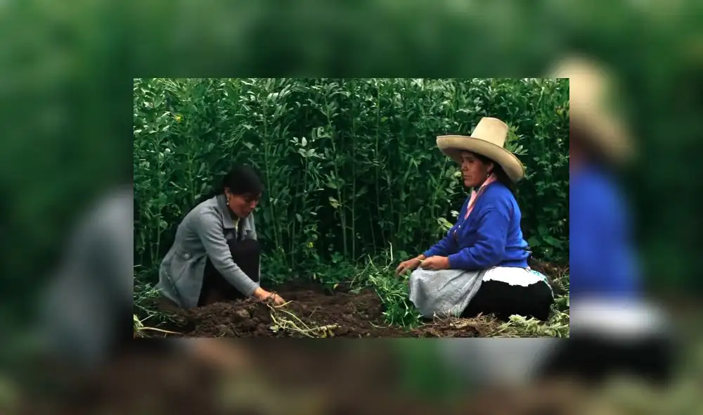 Netflix: El documental peruano ‘Hija de la laguna’ se estrena en el servicio Netflix: El documental peruano ‘Hija de la laguna’ se estrena en el servicio