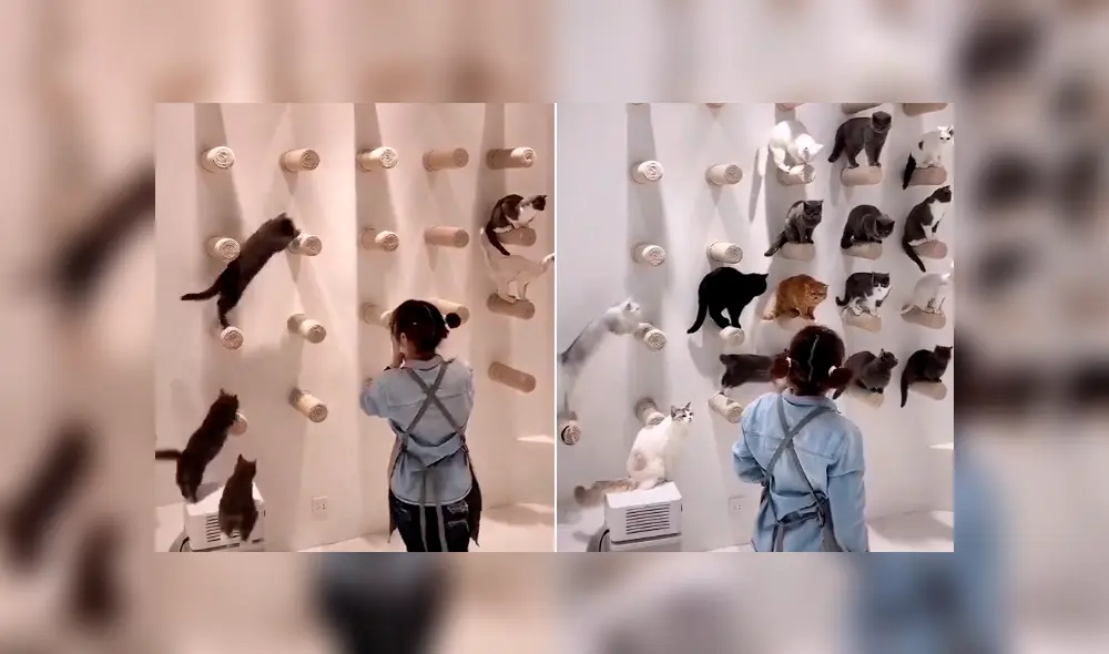 Desliza para ver todas las imágenes de Facebook. Desliza para ver todas las imágenes de Facebook.