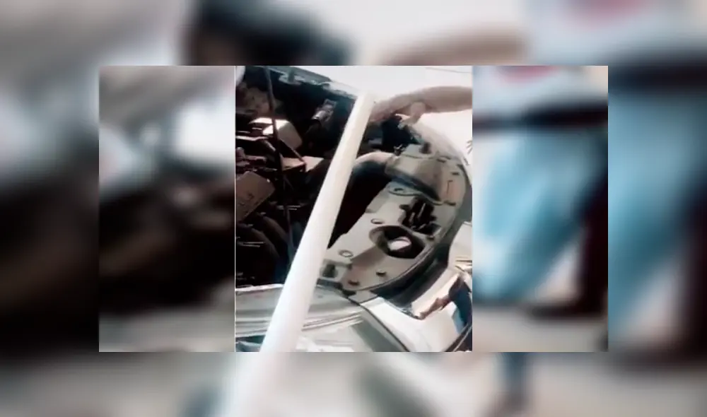 Mecánico revisa el interior de un carro y encuentra peligroso animal que vivía dentro. Mecánico revisa el interior de un carro y encuentra peligroso animal que vivía dentro.