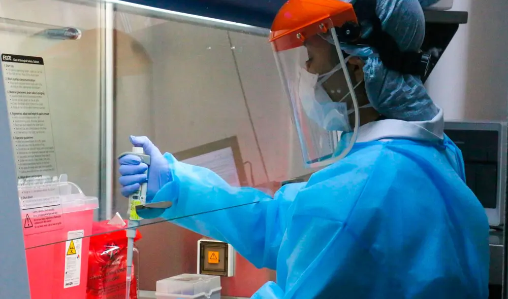 Laboratorios continúan probando posibles vacunas. Foto: Andina Laboratorios continúan probando posibles vacunas. Foto: Andina