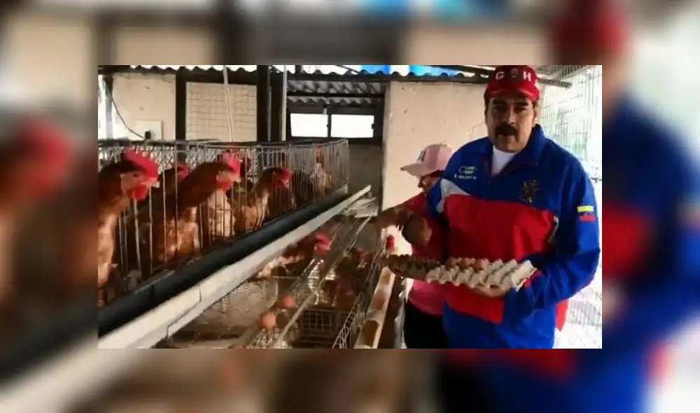 Maduro propuso también instalar huertos en los colegios. Maduro propuso también instalar huertos en los colegios.
