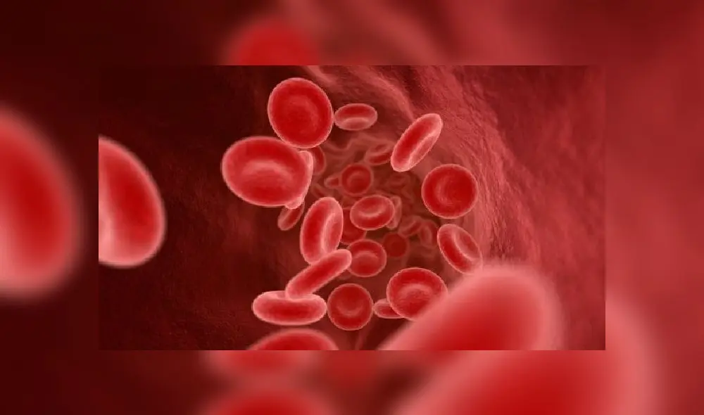 Sistema inmunológico y coronavirus. Foto: Getty Images