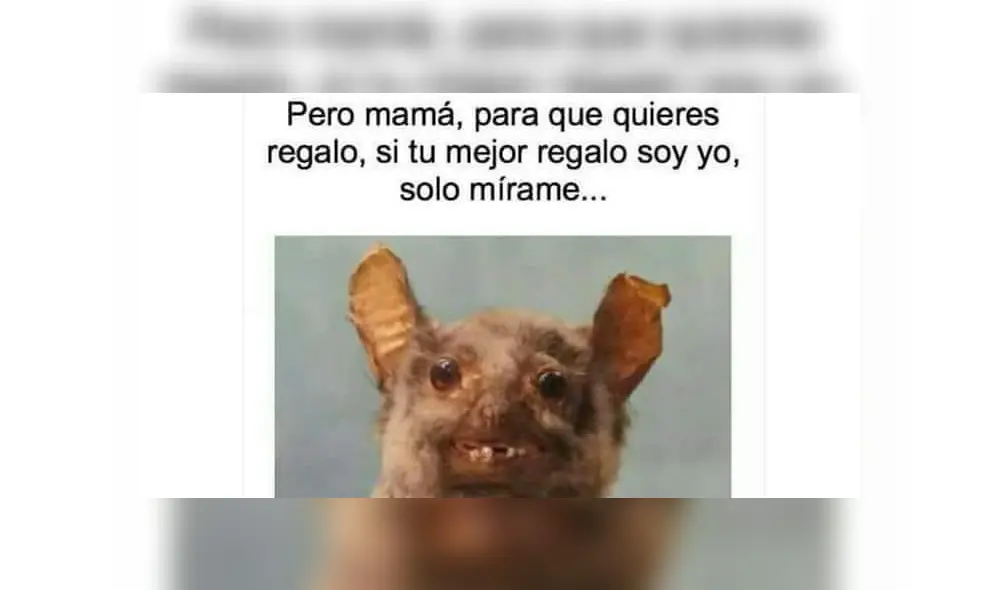 El domingo 10 de mayo se conmemora el Día de la Madre. (Foto: Twitter) El domingo 10 de mayo se conmemora el Día de la Madre. (Foto: Twitter)