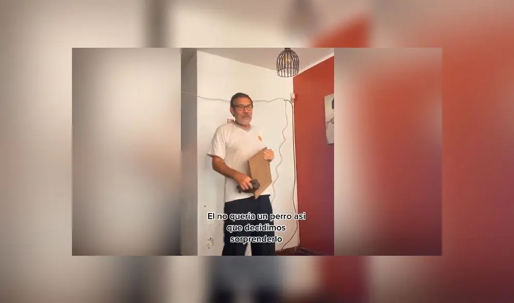 Desliza las imágenes para ver la emotiva escena que protagonizó este hombre al conocer al perro bebé que adoptó su familia. Foto: TikTok Desliza las imágenes para ver la emotiva escena que protagonizó este hombre al conocer al perro bebé que adoptó su familia. Foto: TikTok