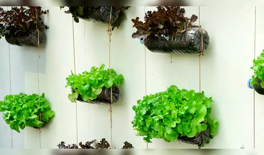 Jardines colgantes perfectos para una casa pequeña o departamento