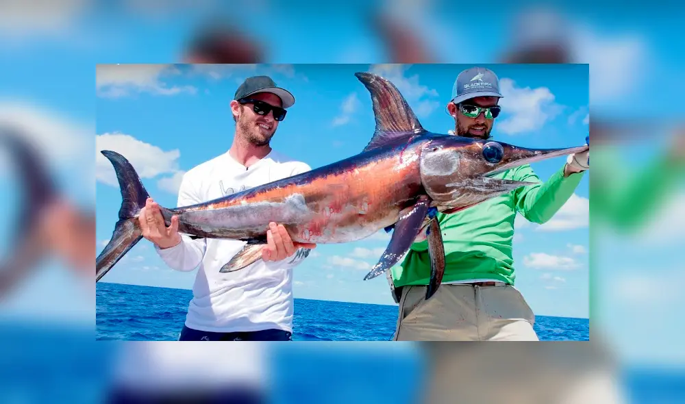 Un video viral de YouTube, captado por un grupo de pescadores deja al descubierto la identidad del gigantesco pez que lograron atrapar.