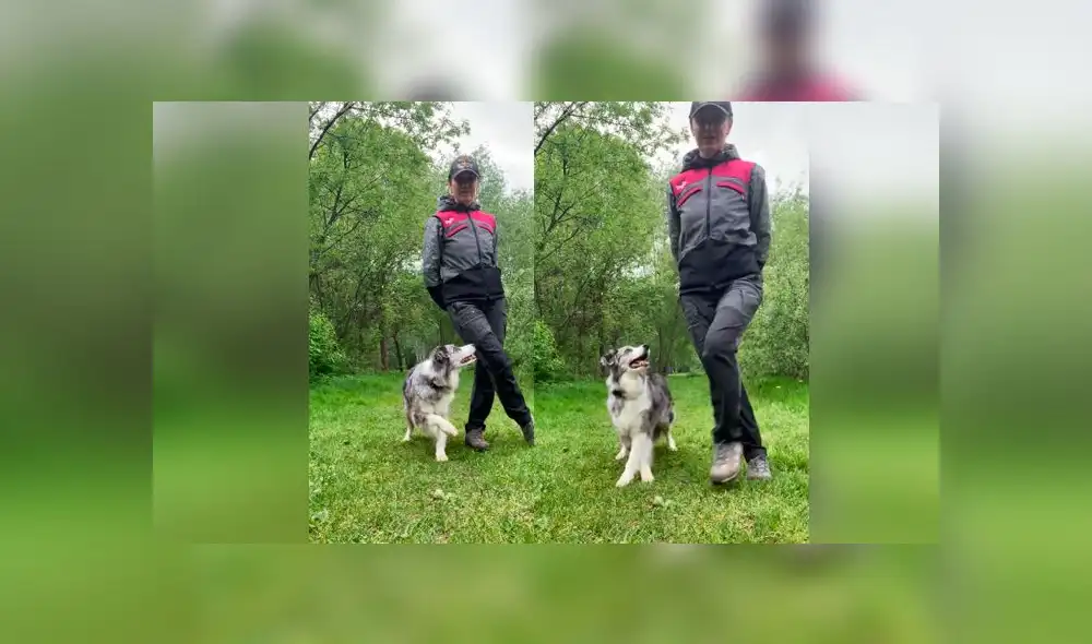 Desliza las imágenes para ver la peculiar sorpresa que se llevó una mujer al revisar el teléfono de su madre  verla bailar junto a su perro. Foto: TikTok