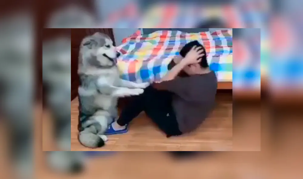 El can ha causado sensación en YouTube y otras redes con su peculiar comportamiento mientras su dueño realiza una rutina de ejercicios