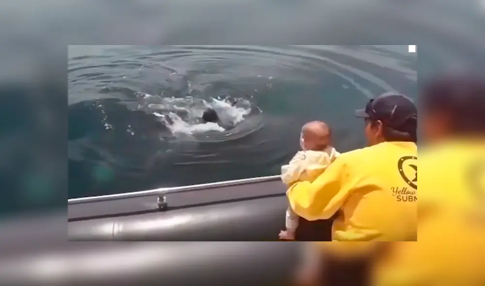 Osado papá acercó a su hija al mar buscando tener algún avistamiento de criaturas marinas, sin imaginar que tendría una impactante experiencia que ha sorprendido al mundo