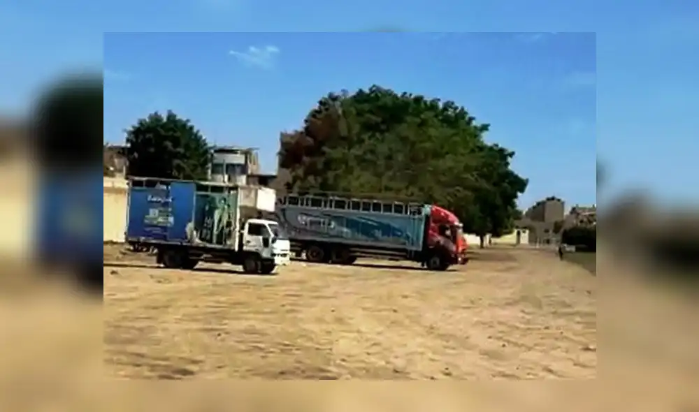 Camiones intervenidos Camiones intervenidos