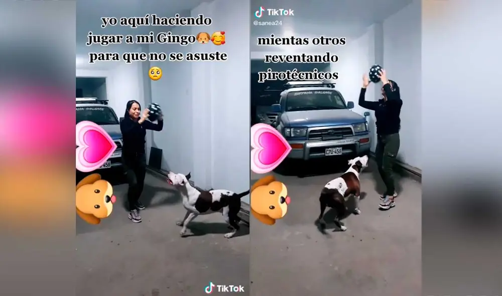 Desliza las imágenes para ver el curioso gesto que tuvo esta joven con su mascota para que no tenga miedo por los pirotécnicos. Foto: captura de TikTok/@sanea24