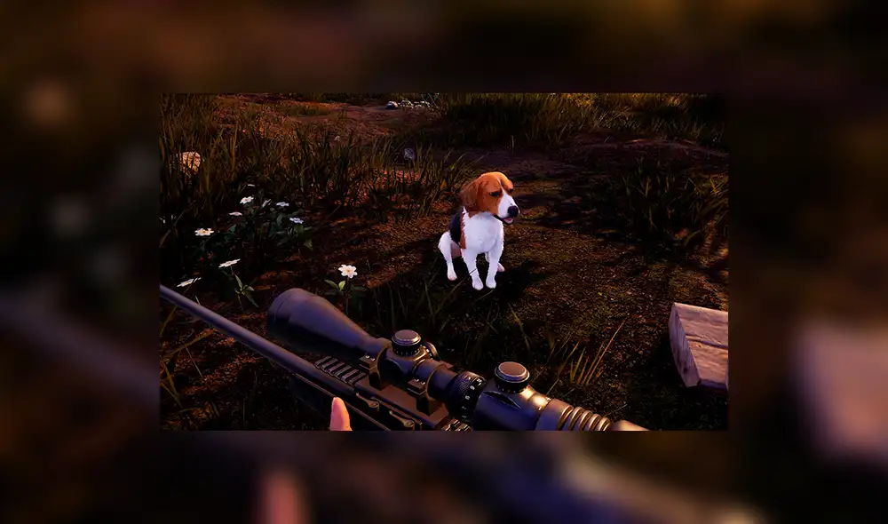 Hunting PETA Hunting PETA