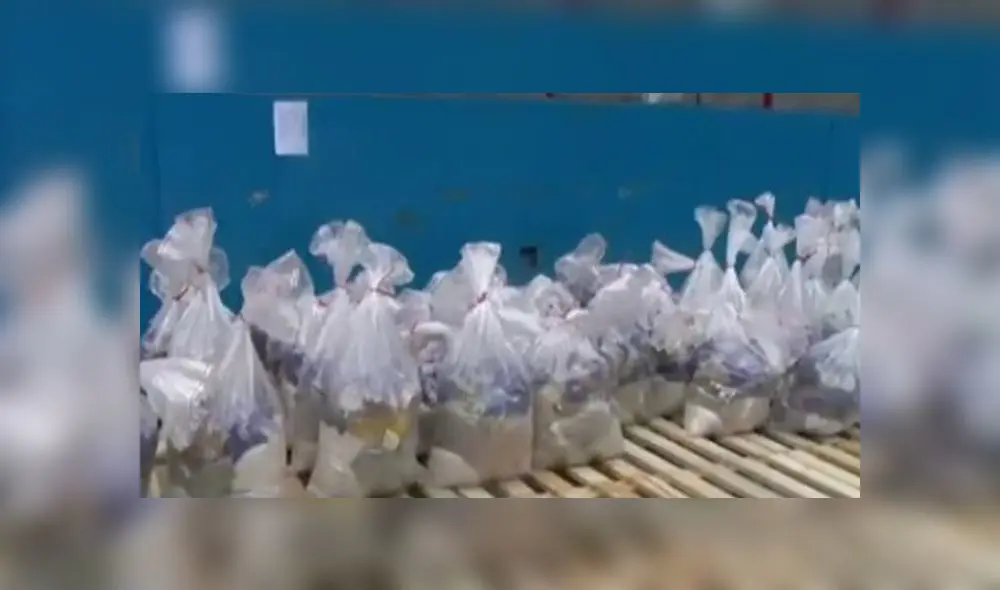 Canasta de víveres. Créditos: Canal N