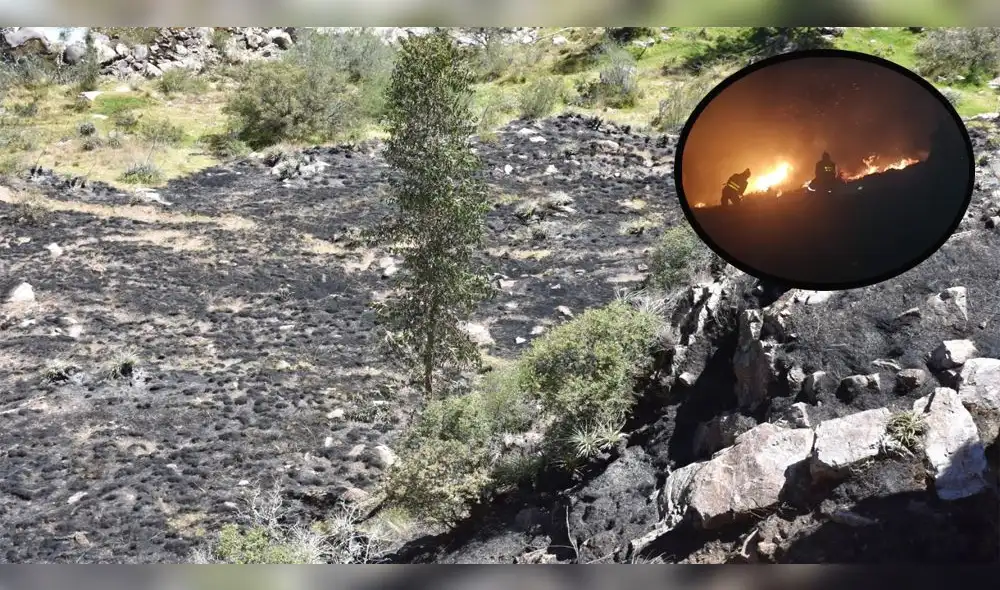El incendio forestal dejó varias pérdidas.