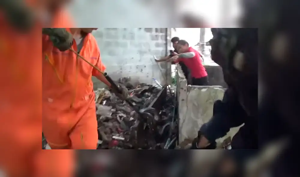 Alza bloque de cemento y en la basura halla enorme serpiente infestada de cucarachas [VIDEO] 