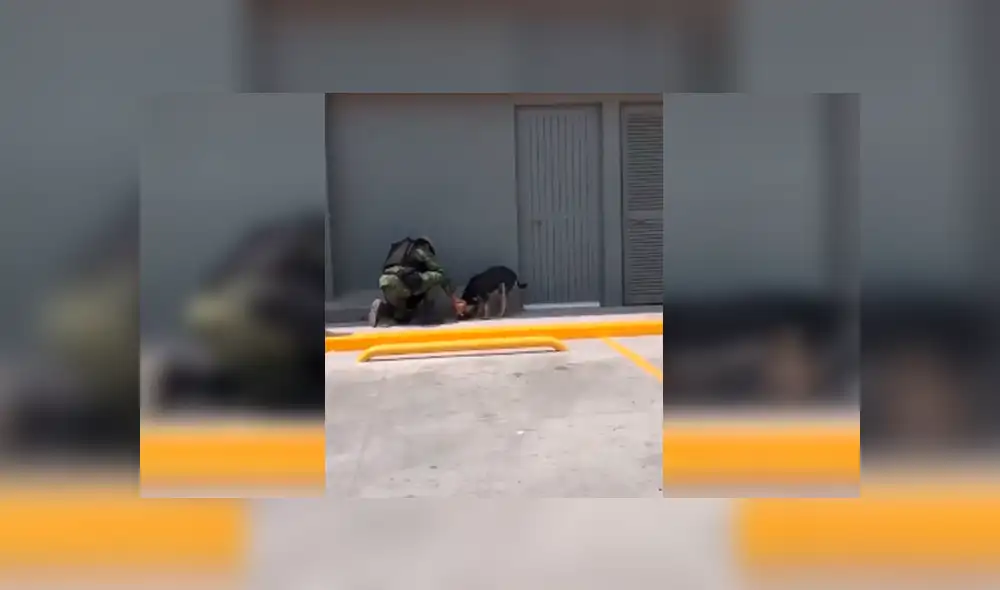 Desliza las imágenes para observar la admirable acción del agente policial para brindar ayuda a un perro callejero. Desliza las imágenes para observar la admirable acción del agente policial para brindar ayuda a un perro callejero.
