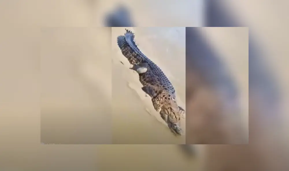 Desliza hacia la izquierda para ver las imágenes del viral de Facebook. Foto: Captura. Desliza hacia la izquierda para ver las imágenes del viral de Facebook. Foto: Captura.