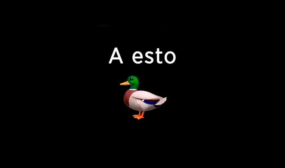 Desliza para ver el cambio de este pato que se volvió 'famoso' en Facebook. Foto: Captura. Desliza para ver el cambio de este pato que se volvió 'famoso' en Facebook. Foto: Captura.
