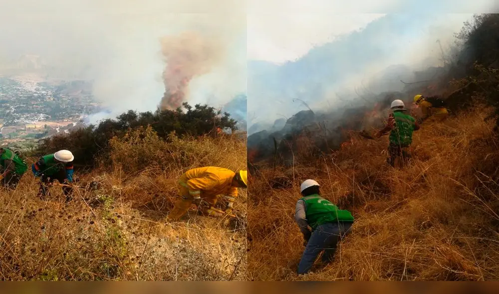 Arequipa: Luego de dos días controlan incendio forestal en Cotahuasi