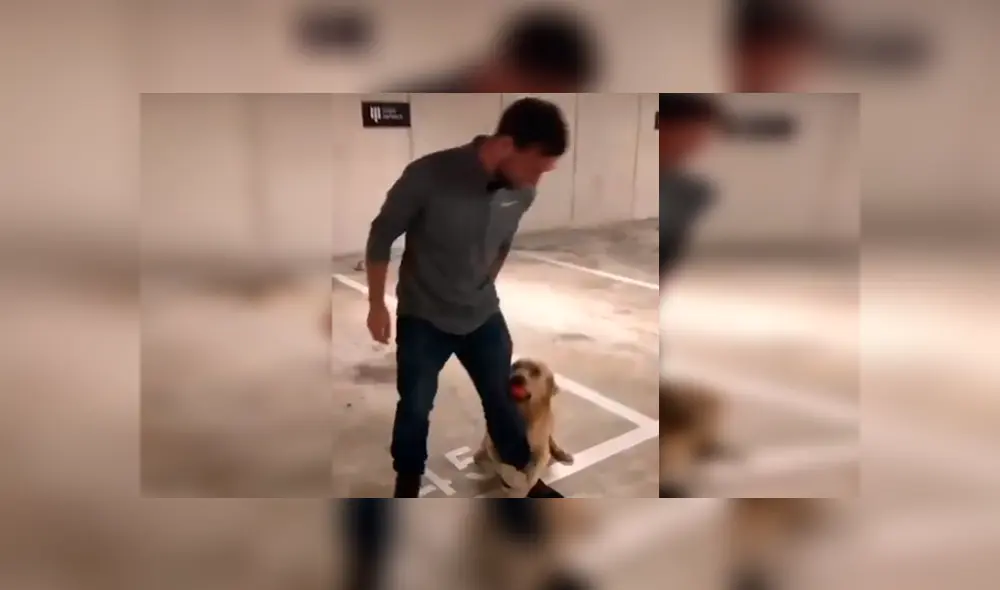 En Facebook, un perro deseaba jugar con su dueño y lo sujetó de la pierna para que no se vaya a trabajar. En Facebook, un perro deseaba jugar con su dueño y lo sujetó de la pierna para que no se vaya a trabajar.