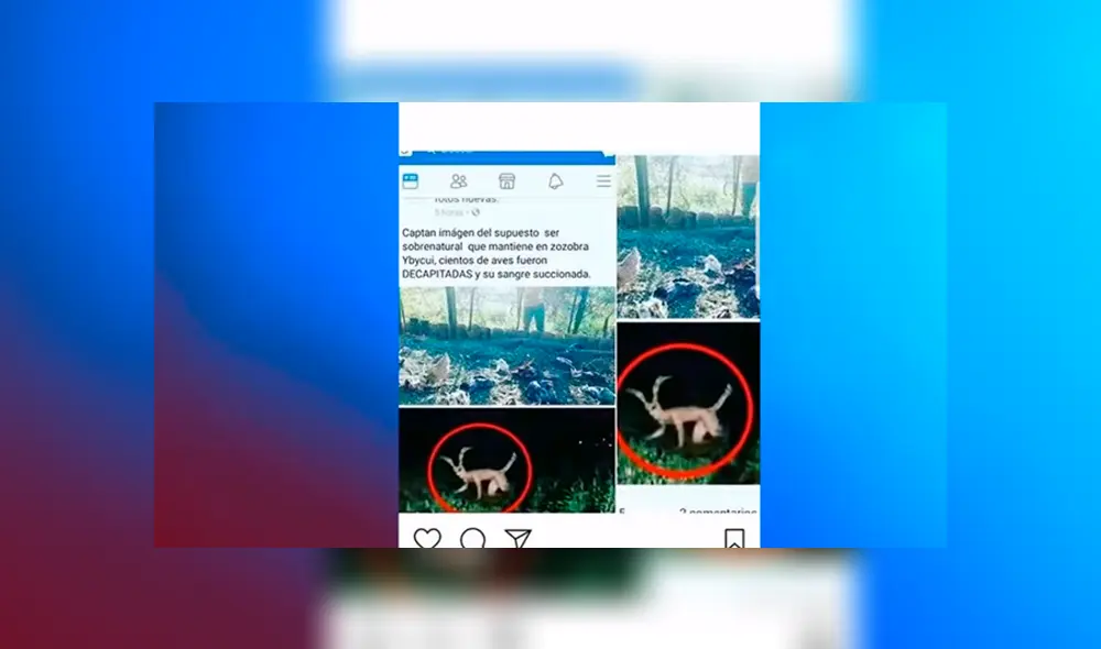 YouTube viral: ¿es real el video del terrorífico 'hombre conejo? Aquí te revelamos el misterio [VIDEO]