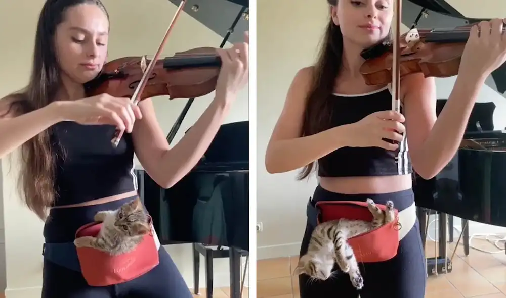 Desliza hacia la izquierda para ver las imágenes del viral. Foto: Captura de Facebook