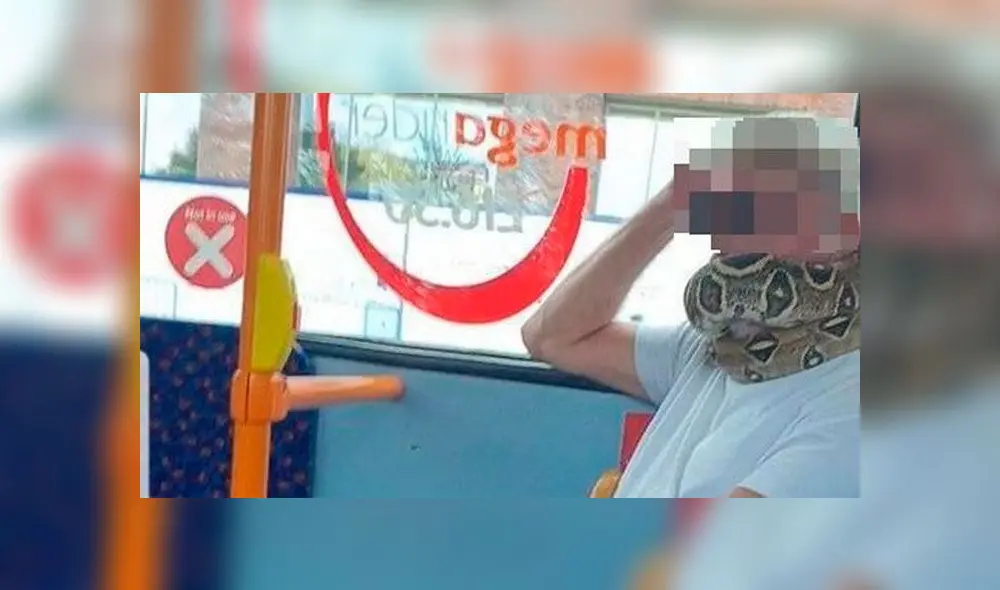 Hombre se transporta con una serpiente en el cuello en un autobús. Foto:  Alison Jones.