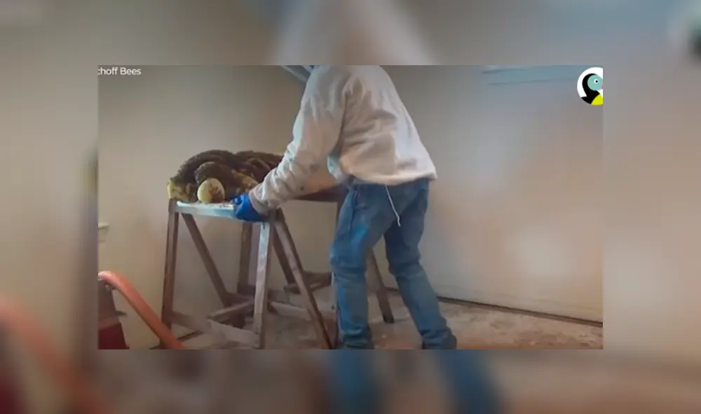 Desliza hacia la izquierda para ver las imágenes del viral de Facebook. Foto: Captura. Desliza hacia la izquierda para ver las imágenes del viral de Facebook. Foto: Captura.