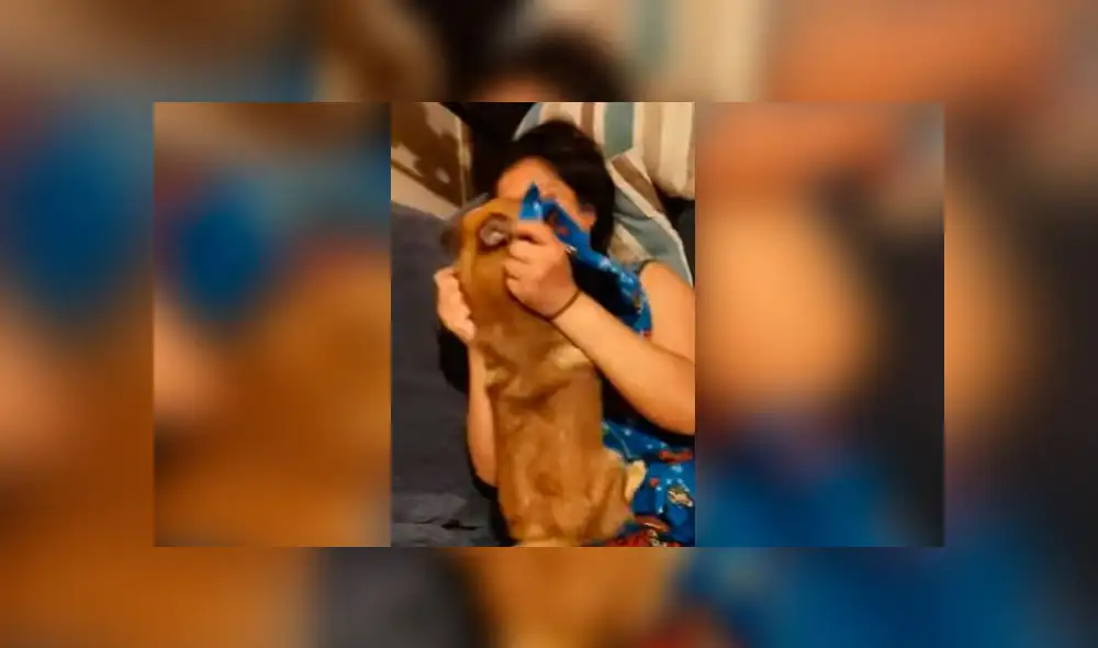 Desliza las imágenes para ver la dramática reacción que tuvo un cachorro al creer que su dueña había desaparecido. Foto: RM Videos