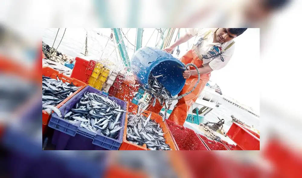 Produce: Festimar promoverá la pesca sostenible 