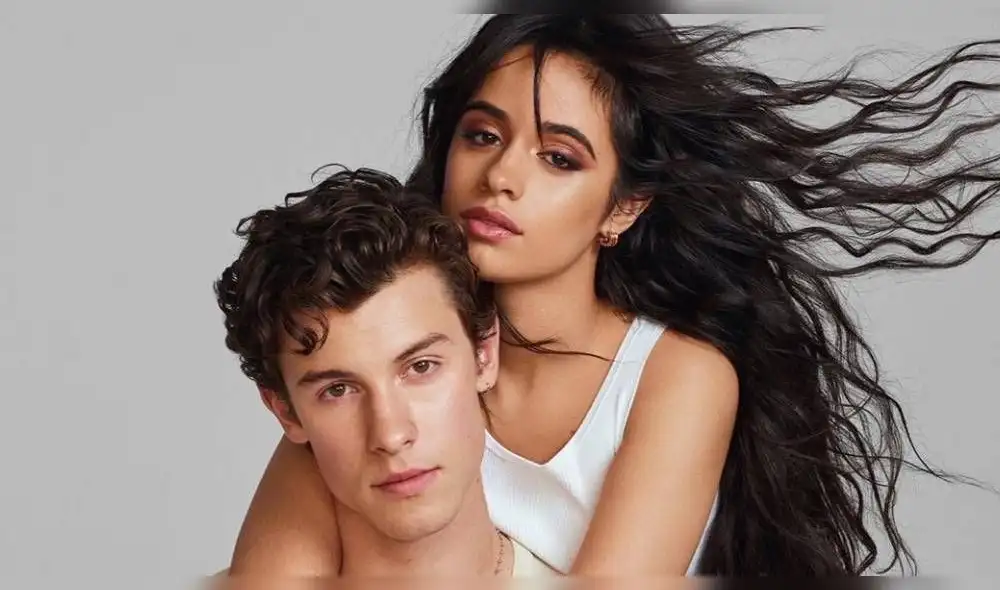 Los intérpretes de "Señorita" respondieron las preguntas de sus fans e incluso bailaron con ellos a través de la videollamada. (Foto: Instagram)